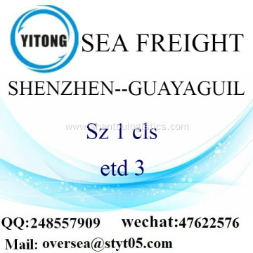 Shenzhen Port LCL Consolidation To Guayaguil